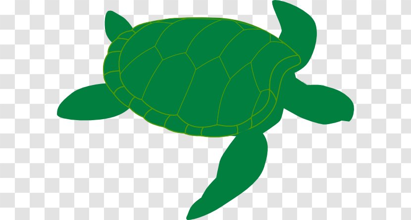 Green Sea Turtle Clip Art - Reptile - Turtles Cliparts Transparent PNG