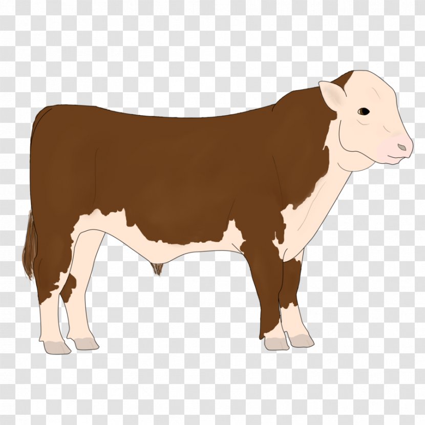 Dairy Cattle Calf Ox Bull - Thicket/ Transparent PNG