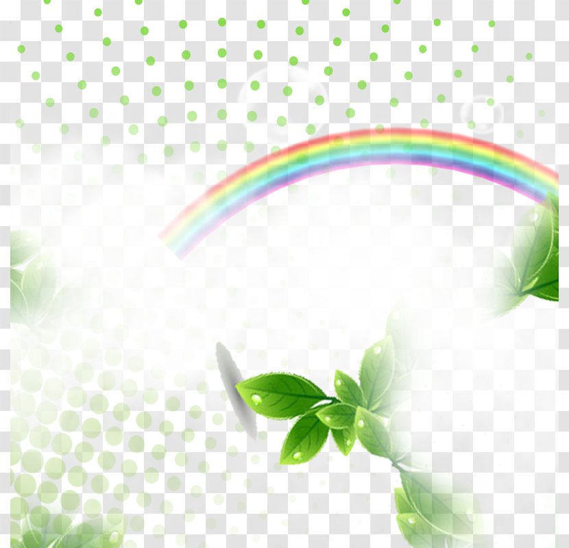 Light Rainbow - Flora Transparent PNG