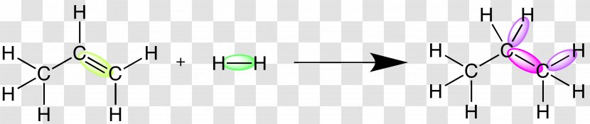 Cyclic Adenosine Monophosphate Organic Chemistry Substance Theory - Bromine Water - Alcohol Transparent PNG