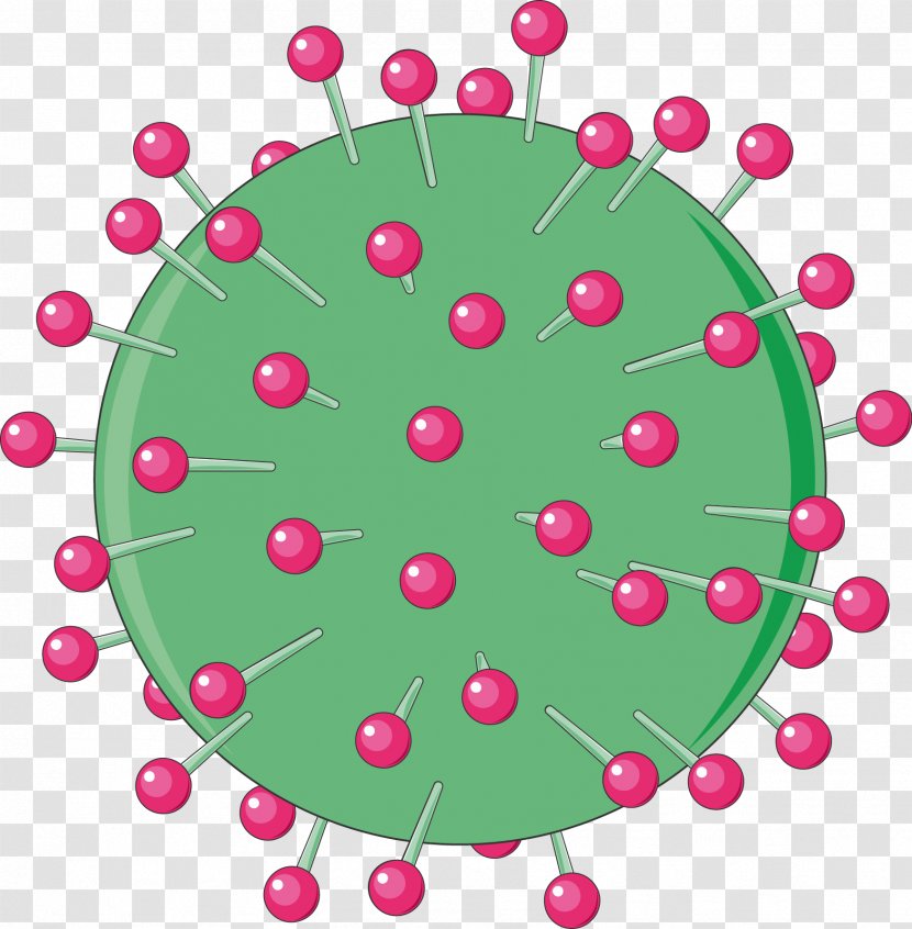 Viral Hepatitis B Virus Hepadnaviridae - Echinococcosis Transparent PNG