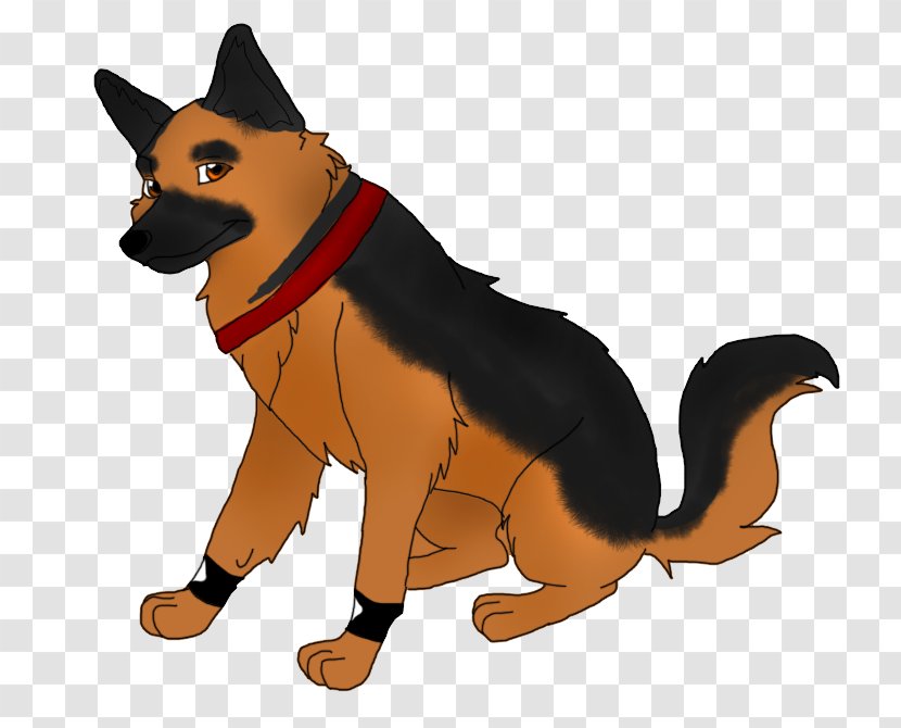 Dog Breed Puppy Red Fox Cat - Snout Transparent PNG