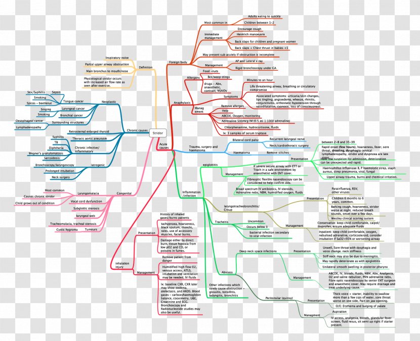 Diagram Line - Text - Design Transparent PNG