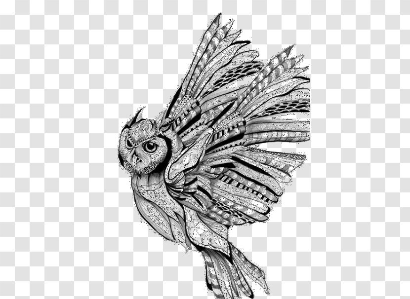 Owl Tattoo Sketch Drawing Idea - Fauna Transparent PNG