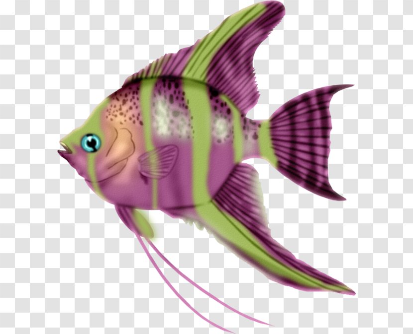 Fish Clip Art - Seafood - Colorful Transparent PNG
