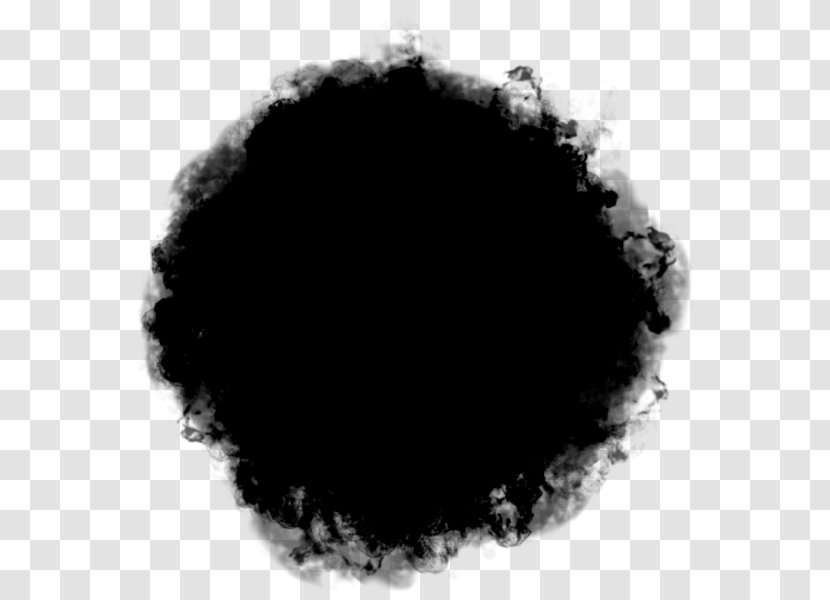 Black M - Blackandwhite - Hair Transparent PNG
