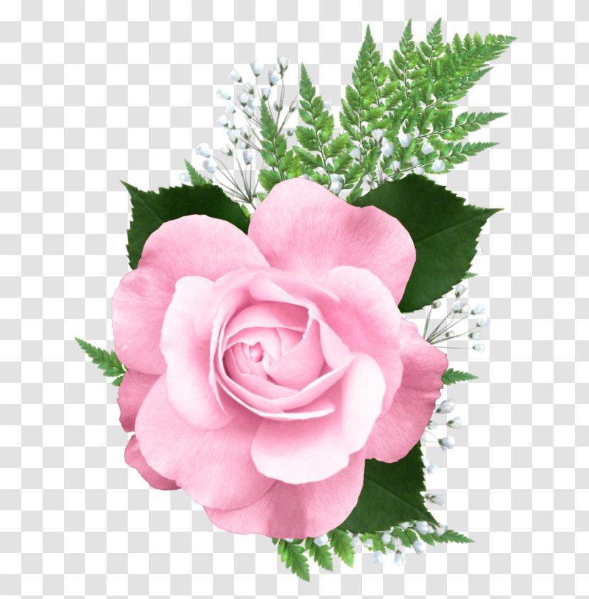 Rose Pink Clip Art - Artificial Flower - Transparent Picture Transparent PNG
