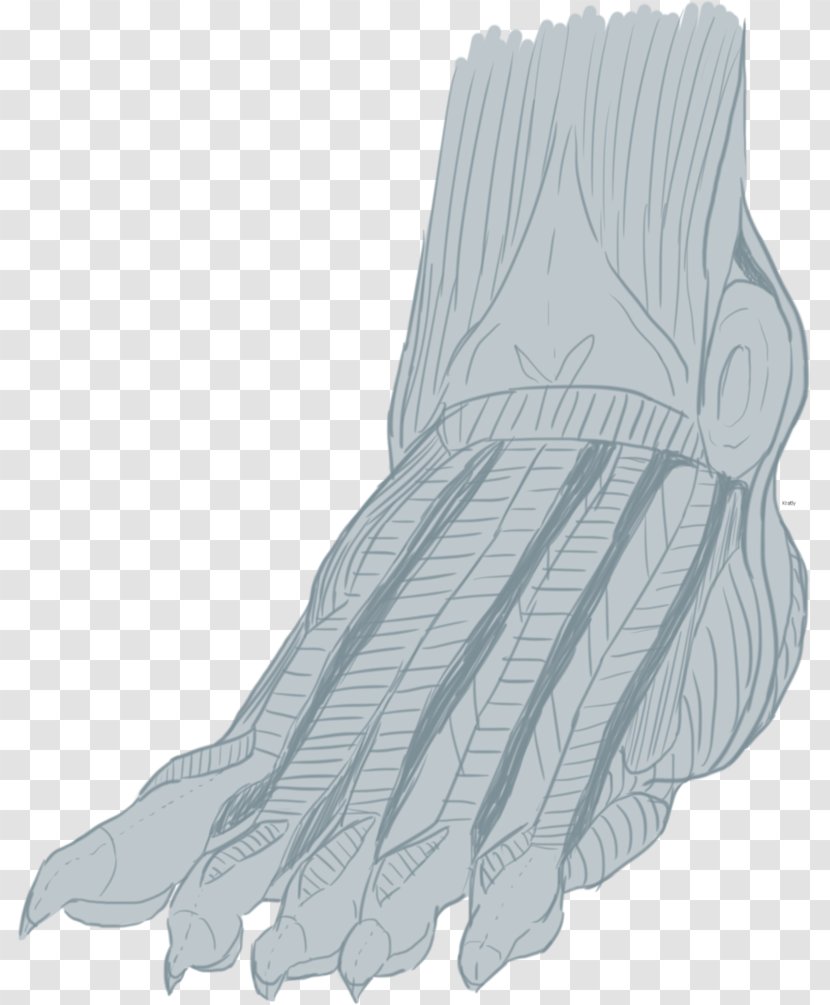 Finger Evening Glove Shoe Product Design - Prosthesis Transparent PNG