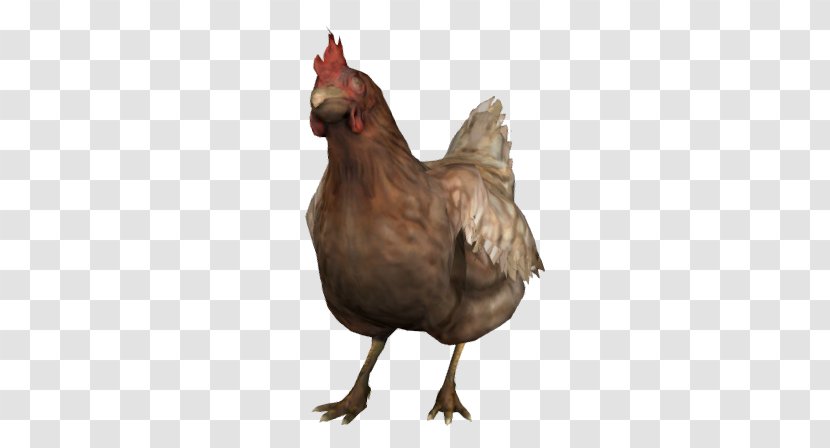 Counter-Strike: Global Offensive Leghorn Chicken Ixworth Hen Counter-Strike 1.6 - Poultry - Counterstrike Transparent PNG