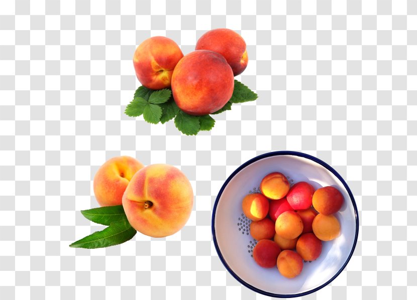 Smoothie Pregnancy Fruit Food Eating - Natural Foods - Peaches, Nectarines Material Transparent PNG