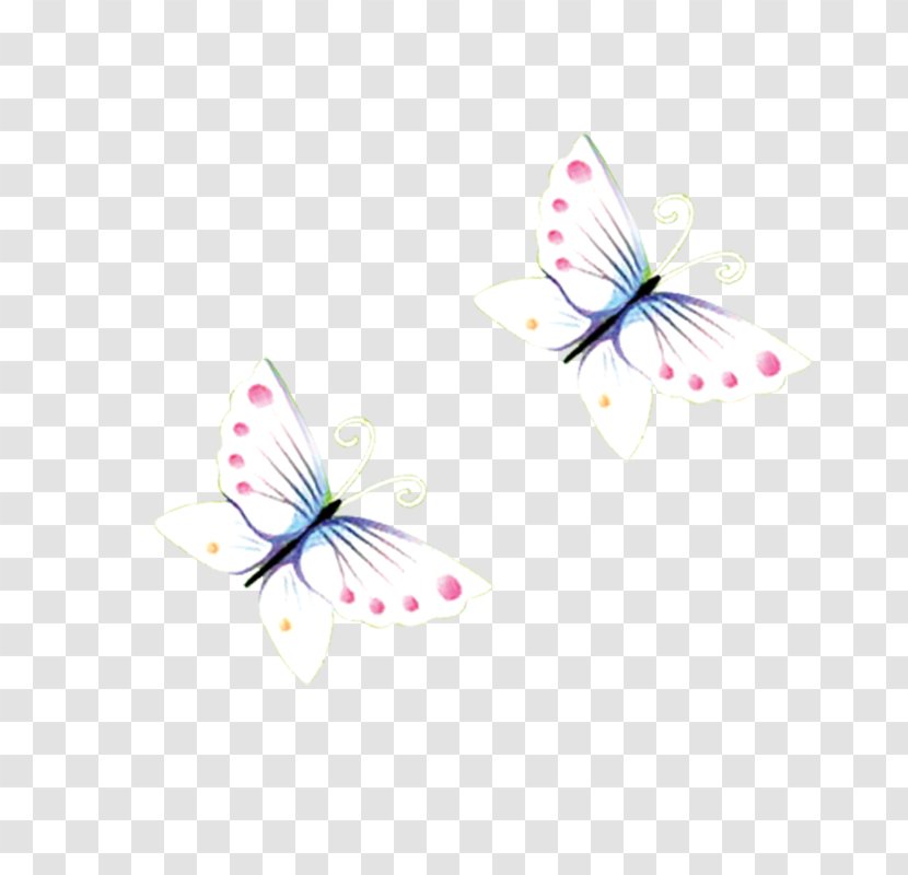 Butterfly Petal Computer Wallpaper Transparent PNG