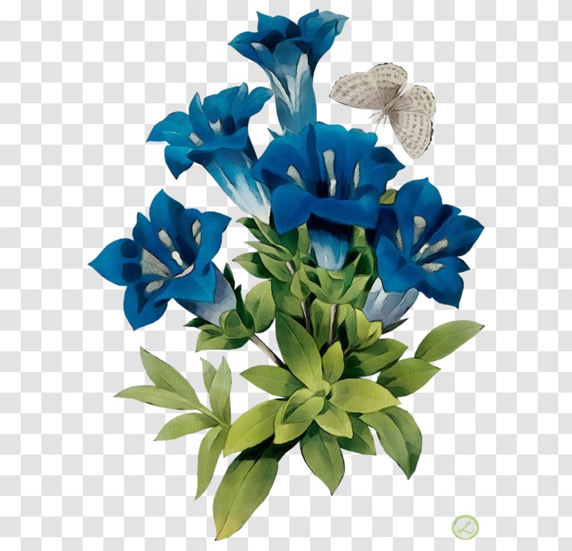 Blue Iris Flower - Petal - Gentian Family Transparent PNG