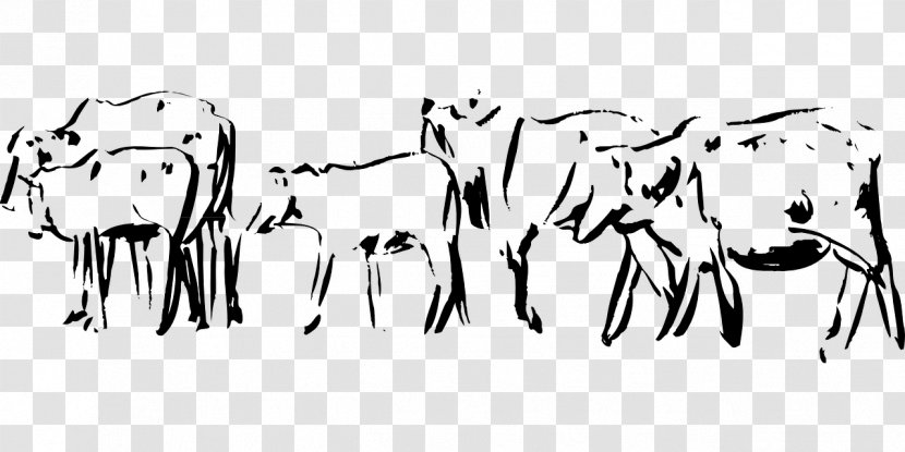 Dairy Cattle Sketch Sheep Baka Goat - Ox Transparent PNG