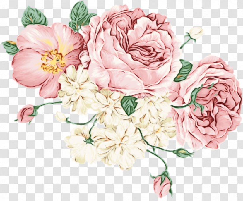 Pastel Floral Background - Garden Roses - Camellia Prickly Rose Transparent PNG