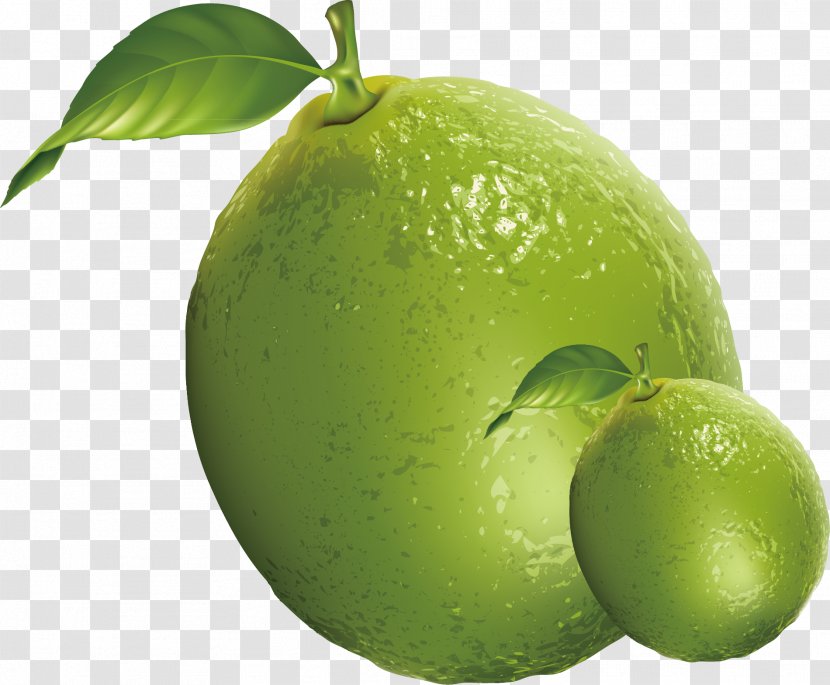 Juice Lemon Lime Fruit - Superfood - Grapefruit Decorative Design Vector Transparent PNG