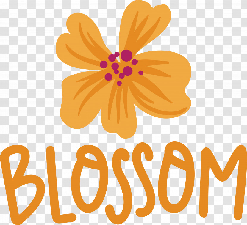 FLOWER FRAME Transparent PNG