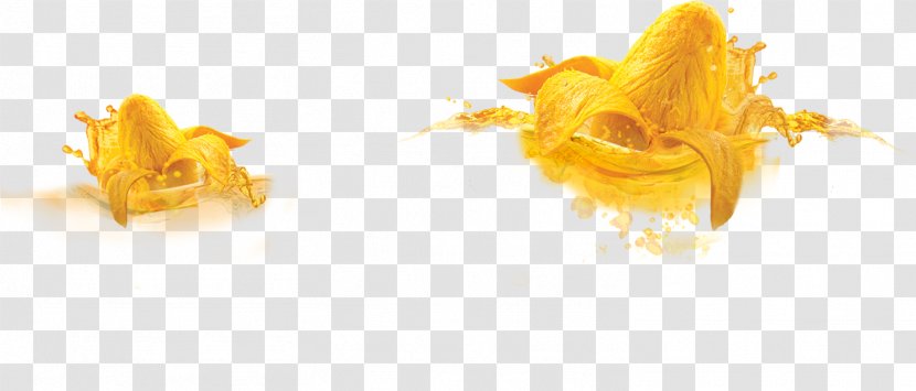 Fizzy Drinks Aguas Frescas Lemonade Flavor Mango - Orange Transparent PNG
