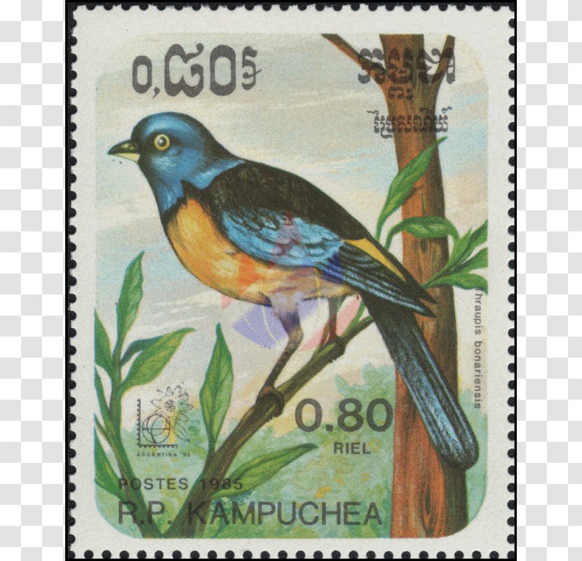 Advertising Airmail Postage Stamps Beak - Ramphastos Toco Transparent PNG