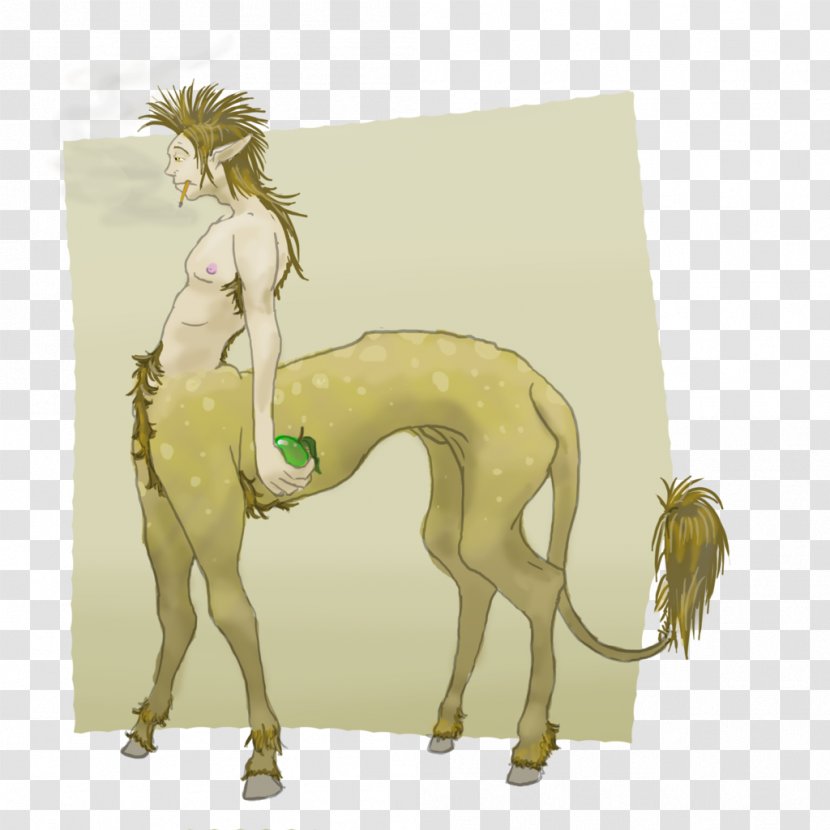 Canidae Dog Camel Mammal - Tail Transparent PNG