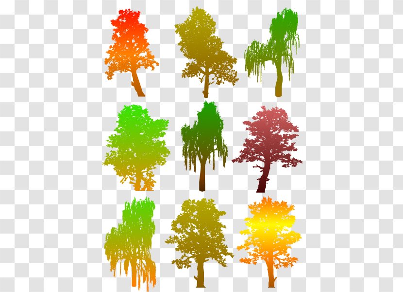 Tree Silhouette Illustration - Maple - Collection Transparent PNG