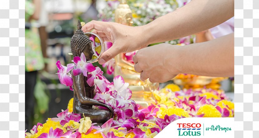 Chiang Mai Songkran Buddharupa Water Flower - Petal Transparent PNG