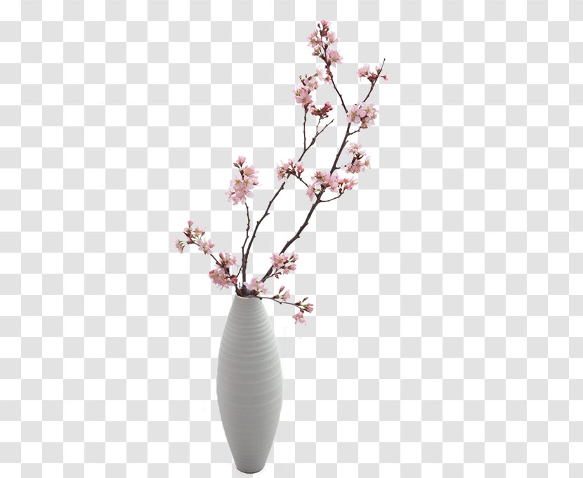 Vase Plum Blossom - Branch - Exquisite Transparent PNG