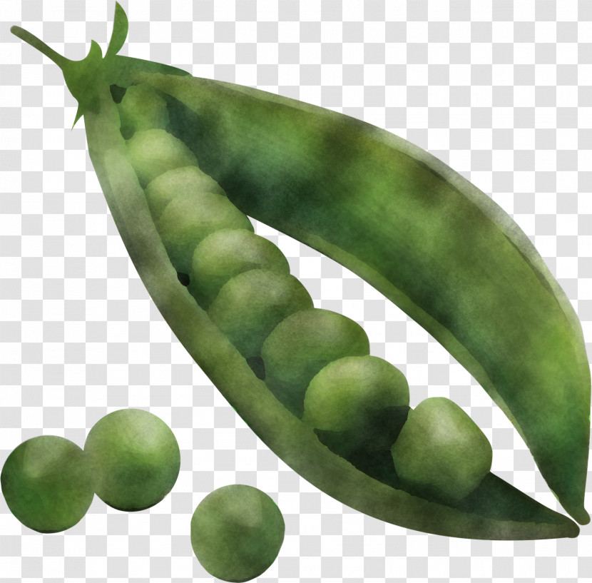 Snap Pea Legume Natural Food Pea Lima Bean Transparent PNG
