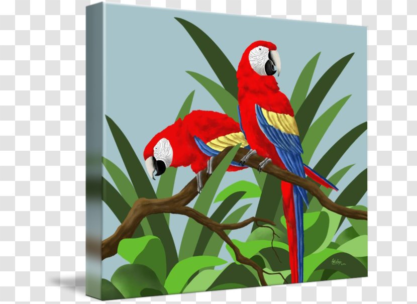 Budgerigar Scarlet Macaw Parrot Blue-and-yellow Transparent PNG