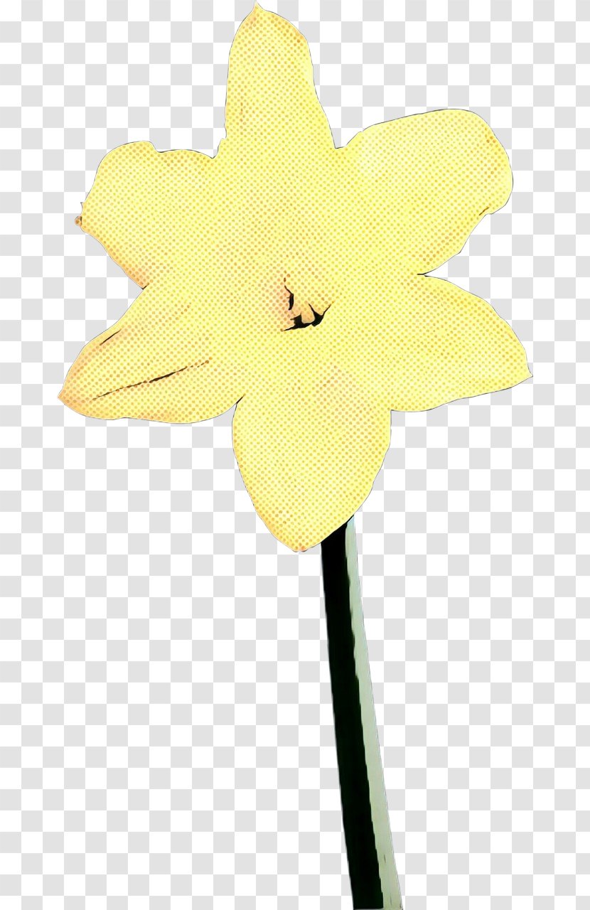 Flowers Background - Flower - Wheel Amaryllis Family Transparent PNG