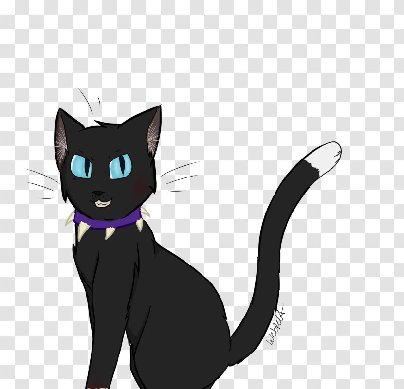 Kitten Black Cat Whiskers Domestic Short-haired - Deviantart Transparent PNG