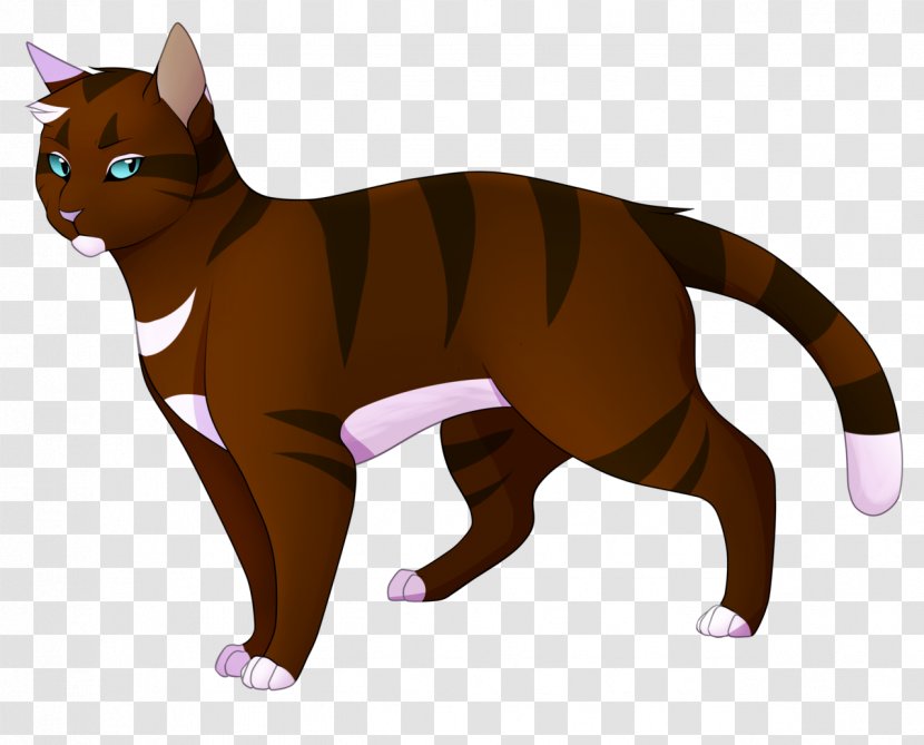 Kitten Whiskers Cat Warriors Hawkfrost - A Difficult Help Comes From All Quarters Transparent PNG