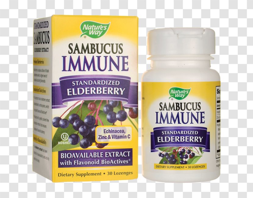 Throat Lozenge Elder Immune System Immunity Dietary Supplement - Swanson Health Products - Tablet Transparent PNG