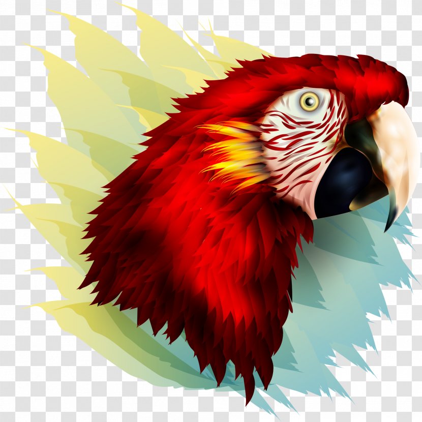 Bird Parrot Owl Beak Feather - Fauna - Vector Red Transparent PNG
