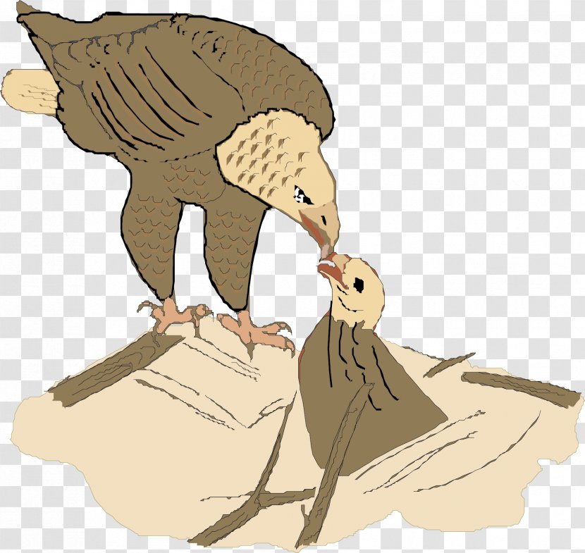 Eagle Hawk Bird Illustration - Animation - Feeding Material Picture Transparent PNG