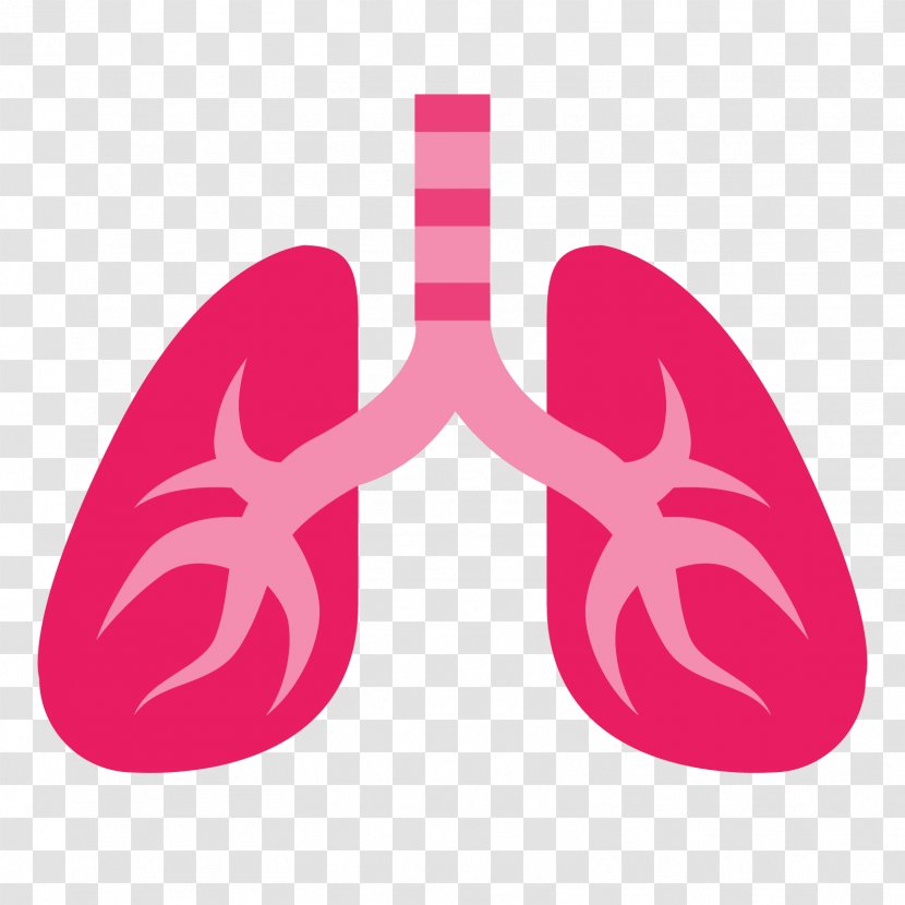 Lung - Frame - Lungs Transparent PNG