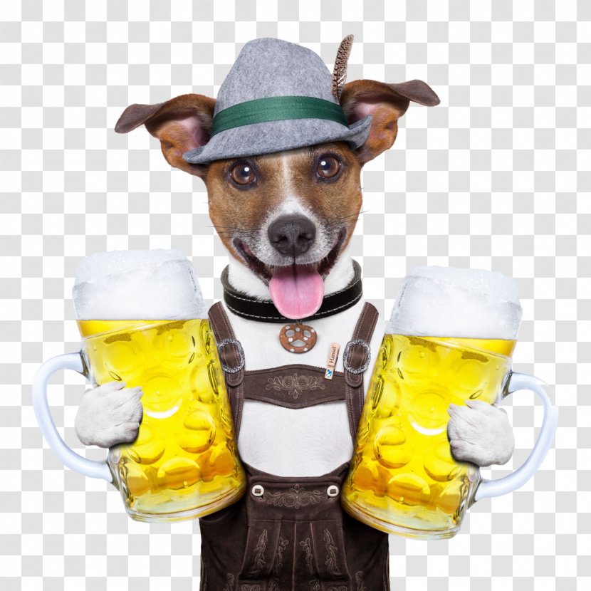 Beer Oktoberfest Dog German Cuisine Stock Photography - Holding A Transparent PNG