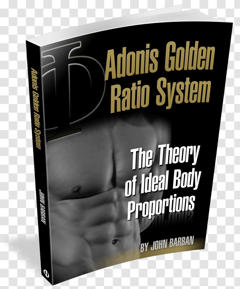 Golden Ratio Muscle Beauty Exercise - Nutrition - GOLDEN RATIO Transparent PNG
