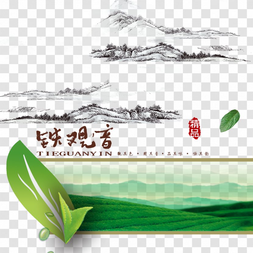 Japanese Tea Ceremony Poster Logo - Tree - Tieguanyin Transparent PNG
