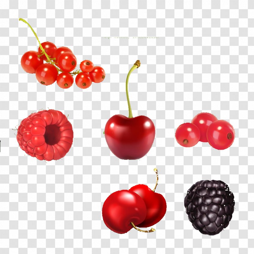 Juice Fruit Berry Illustration - Blueberry Cherry Currants Cherries Transparent PNG