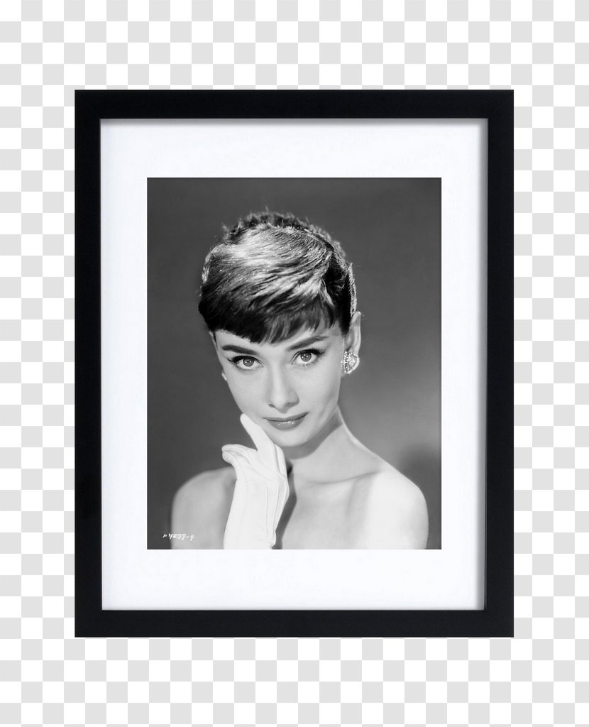 Audrey Hepburn Picture Frames Rectangle Forehead Square - Monochrome Photography Transparent PNG