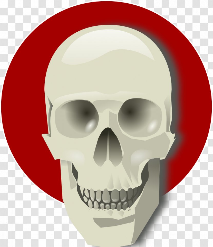 Skull Bone Clip Art Transparent PNG