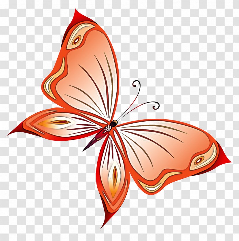 Butterfly Leaf Moths And Butterflies Pollinator Plant - Insect Transparent PNG