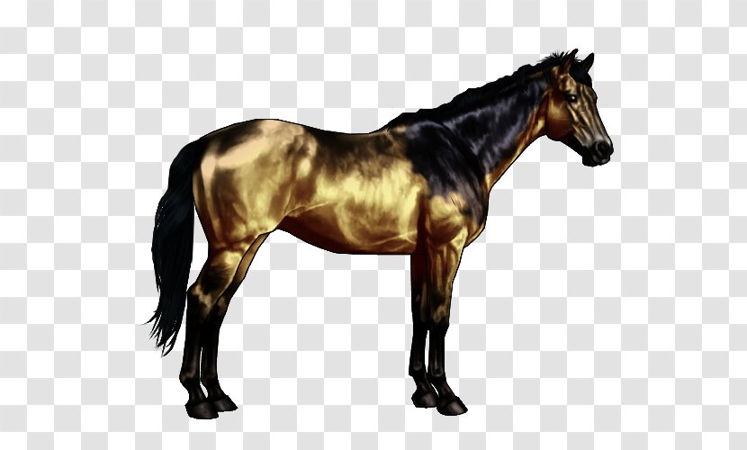 Horse Markings Bay Black Dun Locus - Bit - Somatic Transparent PNG