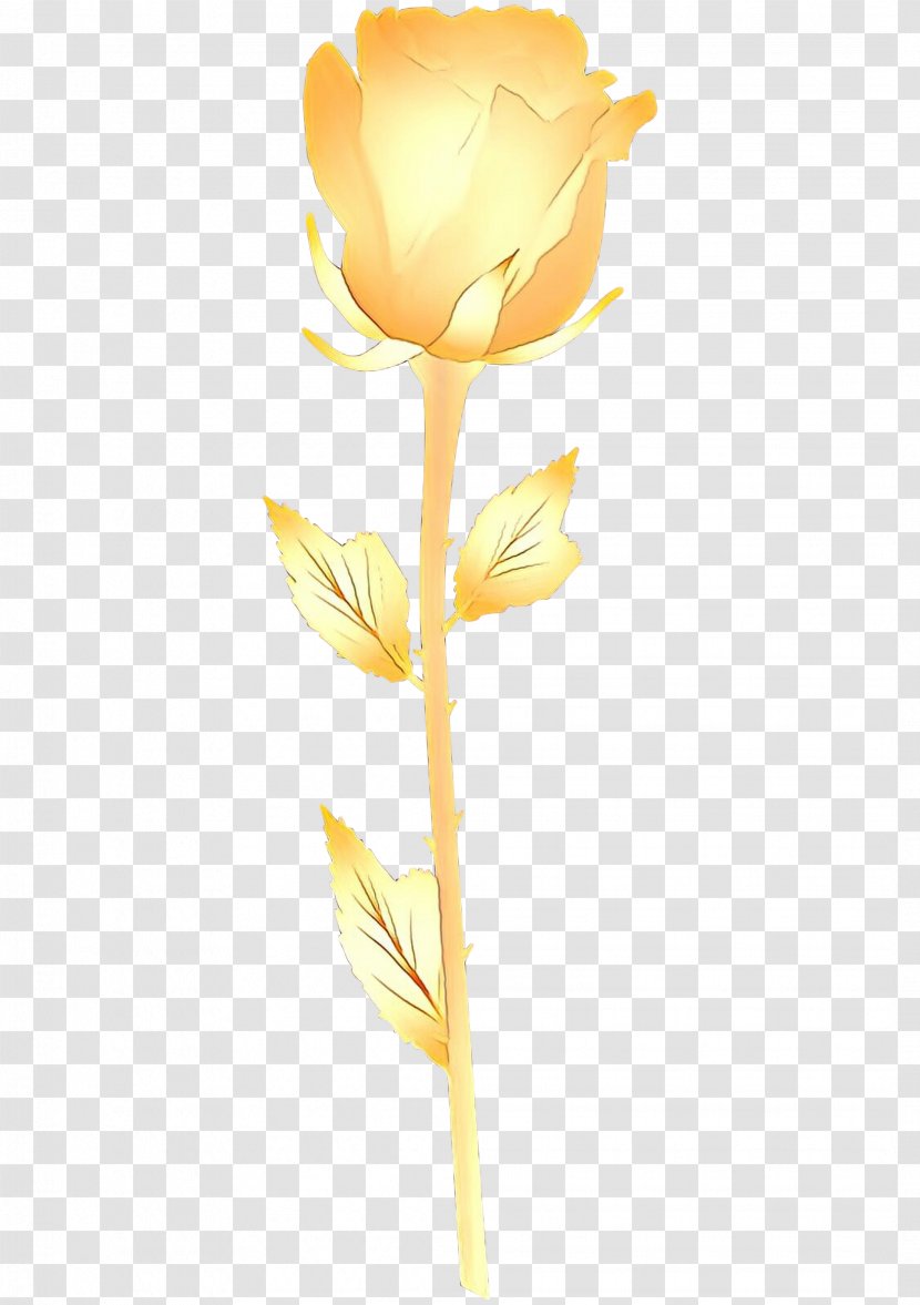 Yellow Flower Cut Flowers Plant Flowering - Cartoon - Tulip Stem Transparent PNG