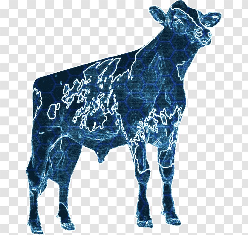 Dairy Cattle Calf La Garita, Jalisco - Cow Goat Family Transparent PNG