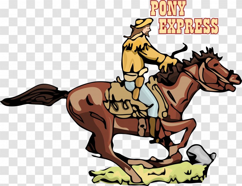 Mustang Pony Equestrian Rein Nebraska 150 Celebration - Horse Transparent PNG