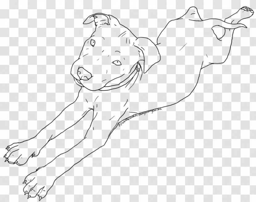 American Pit Bull Terrier Puppy Drawing Line Art - Frame - Pitbull Transparent PNG