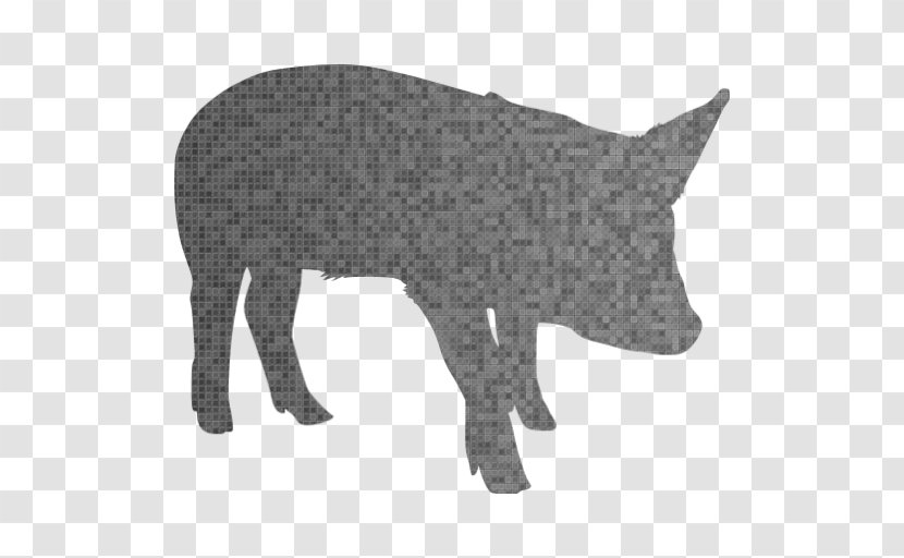 Cattle Jeju Black Pig Lion Hippopotamus Sticker Transparent PNG