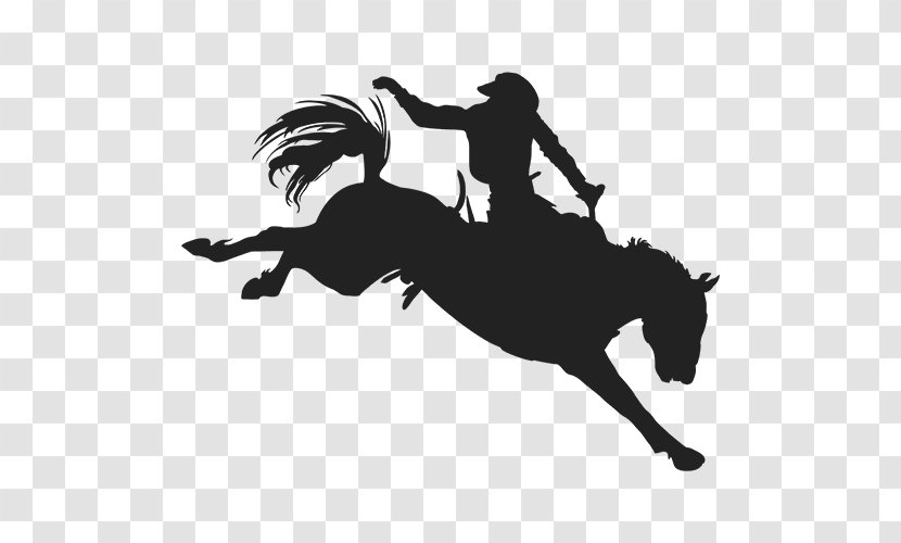 Bronc Riding Animal Sports - Equestrianism Transparent PNG