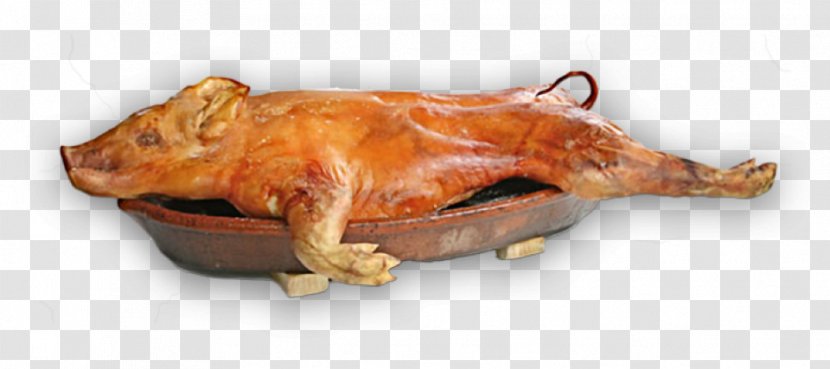 Suckling Pig Roast Barbecue Pig's Ear - Pork Transparent PNG